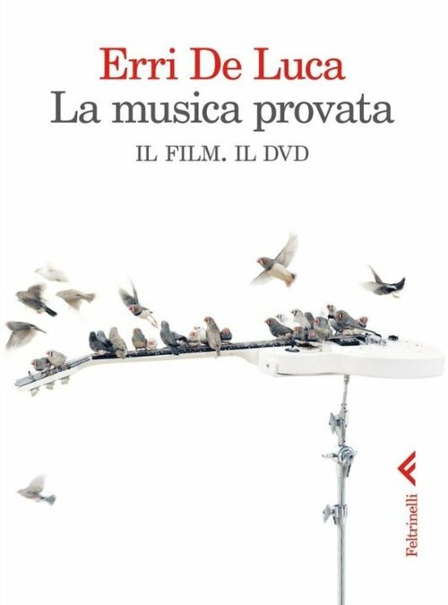 Постер фильма La musica provata (2014)