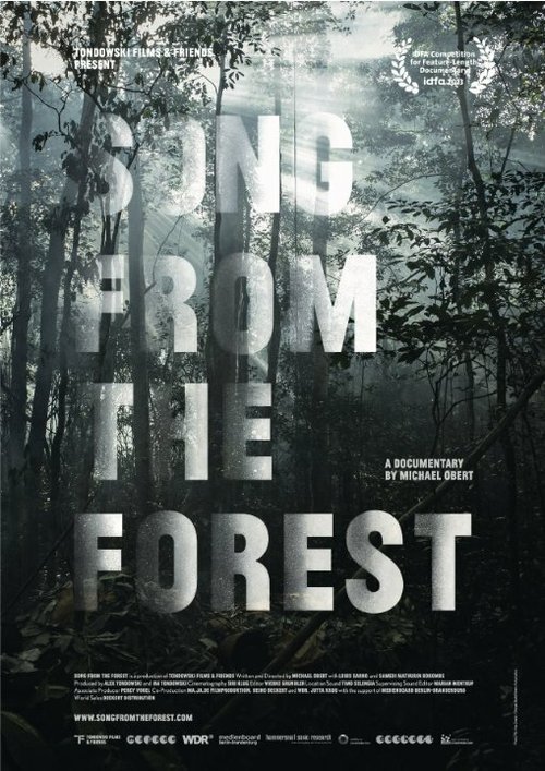 Постер фильма Song from the Forest (2013)