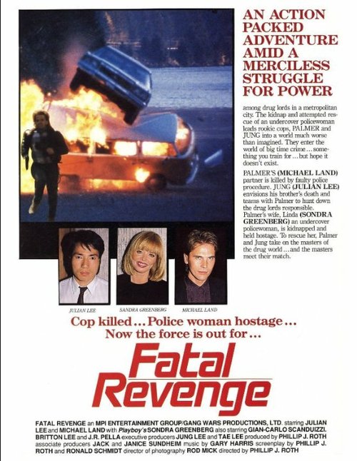 Постер фильма Fatal Revenge (1989)