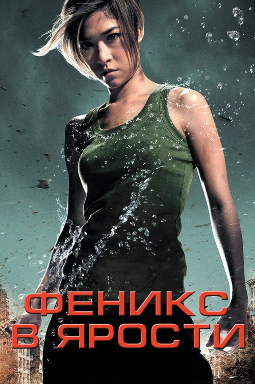 Постер фильма Феникс в ярости (2009)