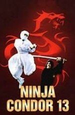 Death Code: Ninja (1987)