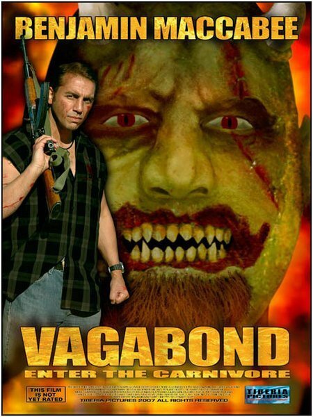 Постер фильма Vagabond (2006)