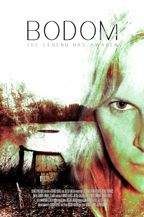 Постер фильма Bodom (2014)