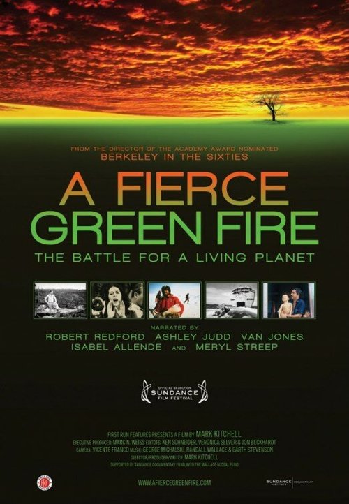 Постер фильма A Fierce Green Fire (2012)