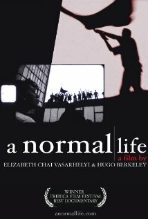 Постер фильма A Normal Life (2003)