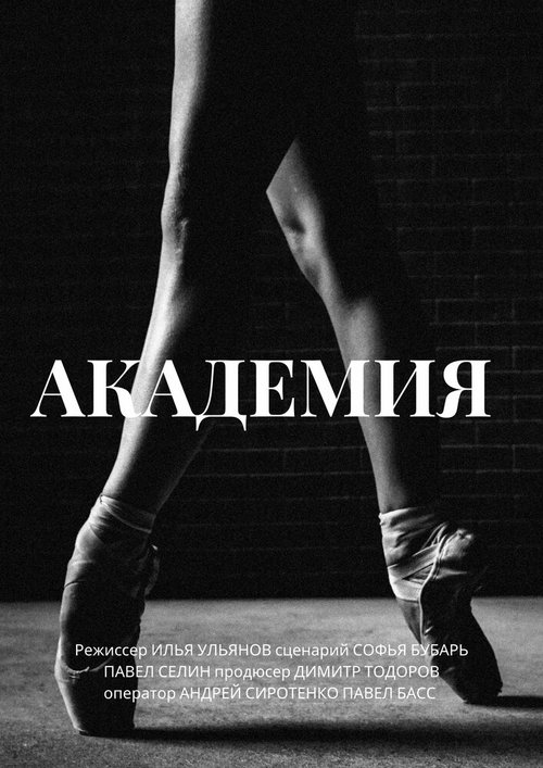 Постер фильма Академия (2014)