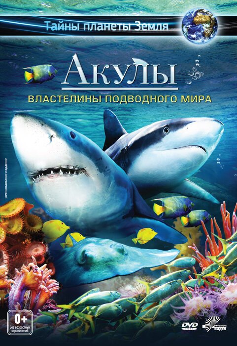 Две стороны одной лошади (2013)