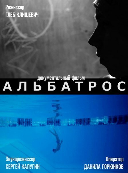 Вудсток в Тимбукту (2013)