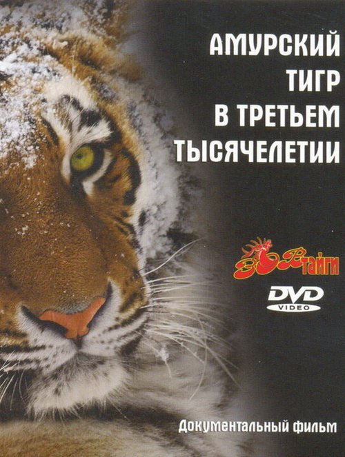 Танцы без границ (2010)