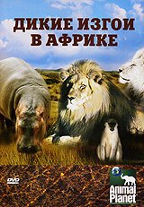 Постер фильма Animal Planet: Дикие изгои в Африке (2006)