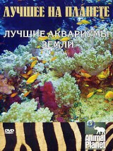 50 фильмов, которые нужно посмотреть, прежде чем умереть (2006)