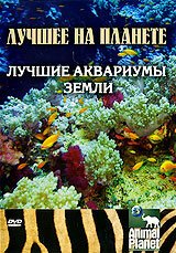 Раскалённые угли не завернёшь в бумагу (2007)