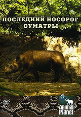 Постер фильма Animal Planet: Последний носорог Суматры (2002)