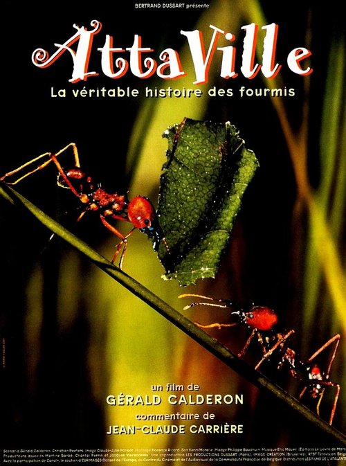 Постер фильма Attaville, la véritable histoire des fourmis (1998)