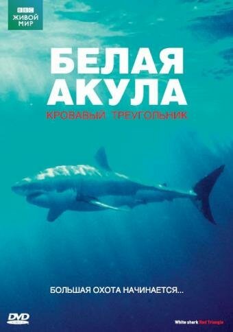 Постер фильма BBC: Белая акула. Кровавый треугольник (2002)