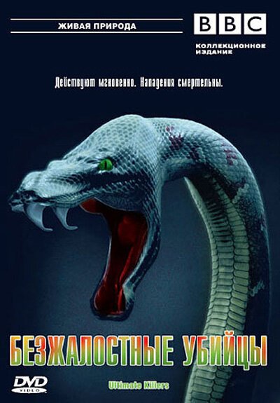 Домашнее насилие (2001)