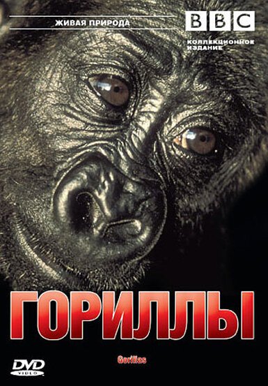 Постер фильма BBC: Гориллы (2002)