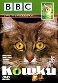 Постер фильма BBC: Кошки (1991)