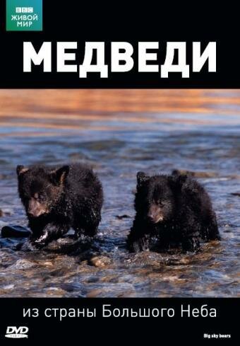 Постер фильма BBC: Медведи из страны большого неба (2006)