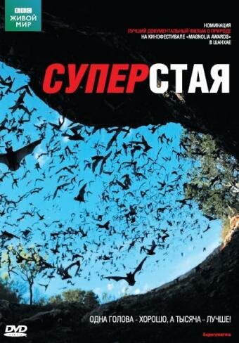 Постер фильма BBC: Суперстая (2009)