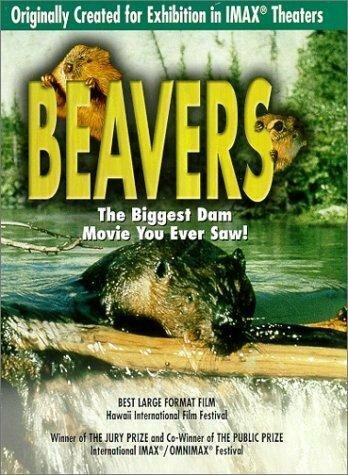 Постер фильма Beavers (1988)