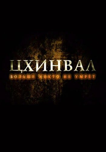 Постер фильма Цхинвал. Больше никто не умрет (2009)