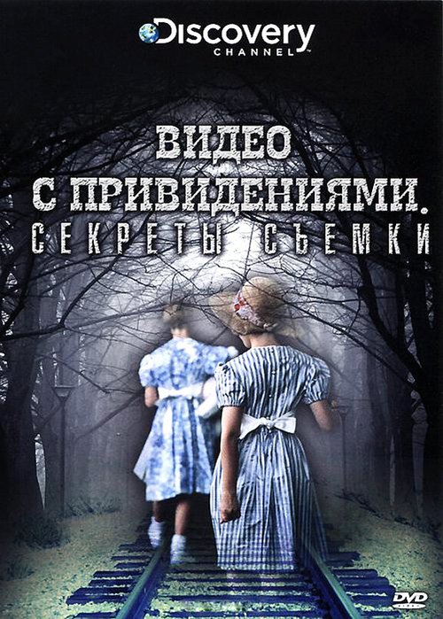 В семью (2009)