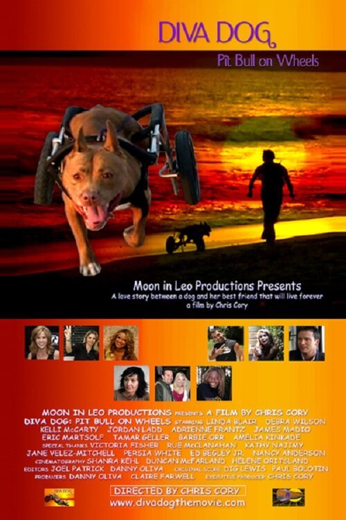 Постер фильма Diva Dog: Pit Bull on Wheels (2005)