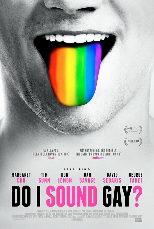 Постер фильма Do I Sound Gay? (2014)