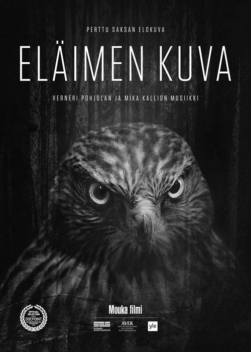 Постер фильма Eläimen kuva (2018)