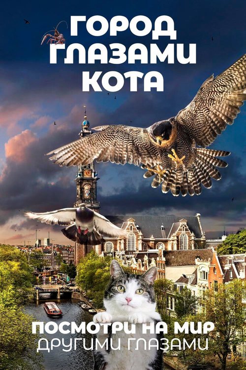 Постер фильма Город глазами кота (2018)