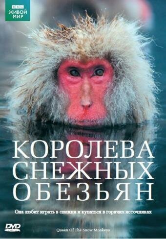 Последние дни Майкла Джексона (2009)