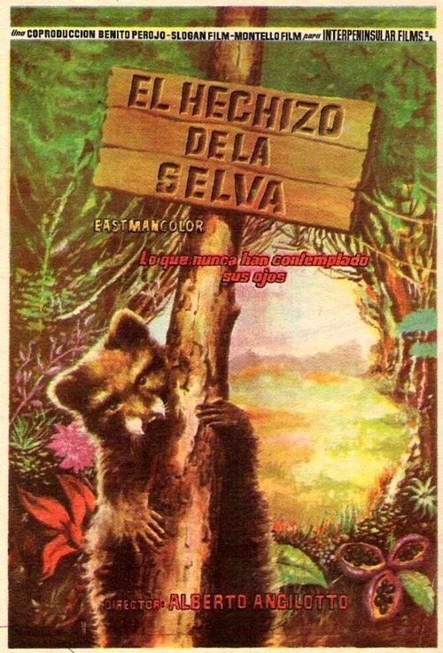 Постер фильма L'incanto della foresta (1957)