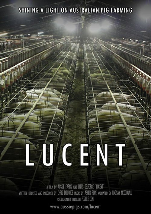 Постер фильма Lucent (2014)