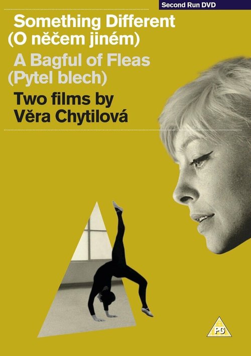 Плакаты Веймарской республики (1962)