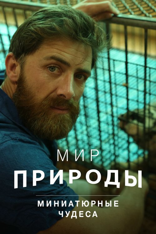 С любовью, Сесил (2017)