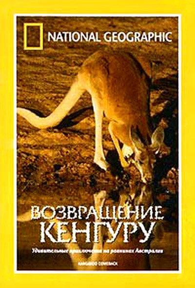 Постер фильма National Geographic: Возвращение кенгуру (1998)