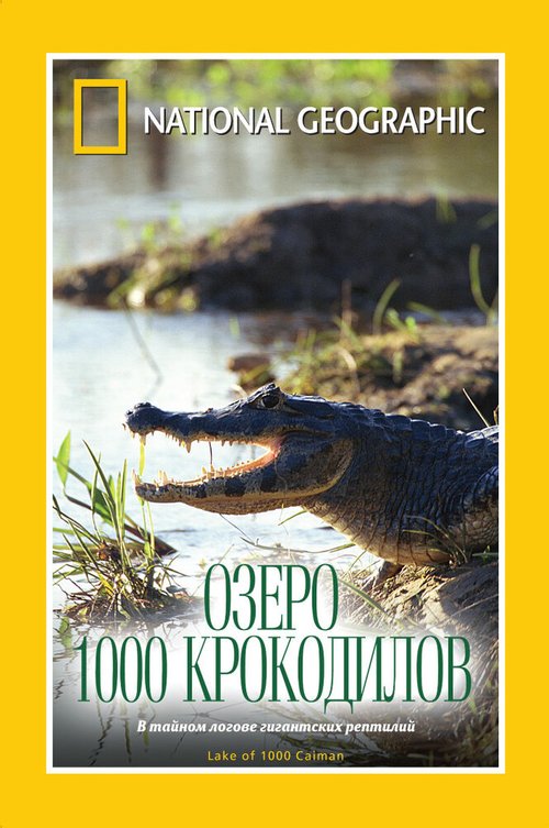 Постер фильма НГО: Озеро 1000 крокодилов (2007)