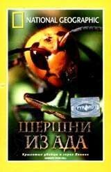 Постер фильма НГО: Шершни из ада (2002)