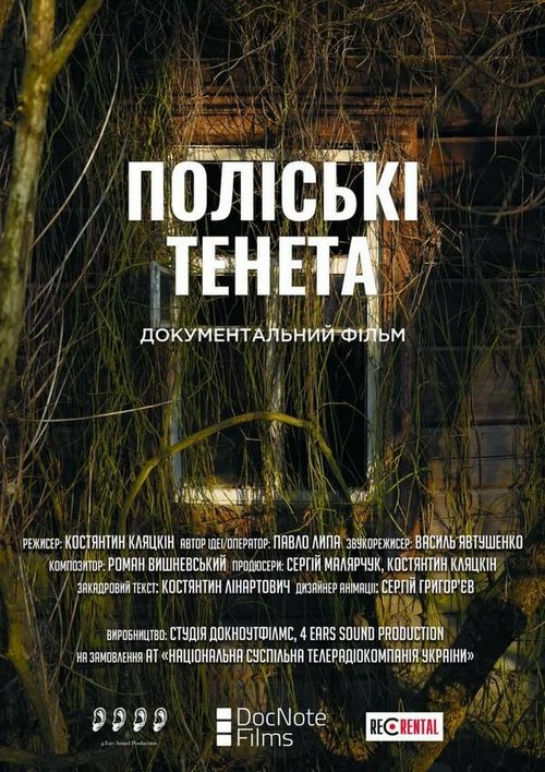 Постер фильма Полесские сети (2021)