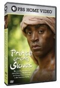 Постер фильма Prince Among Slaves (2007)