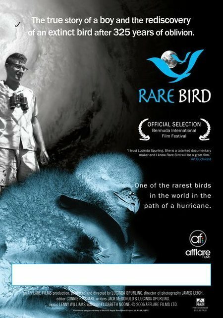 Постер фильма Rare Bird (2006)