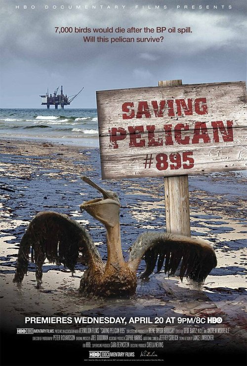 Постер фильма Saving Pelican 895 (2011)