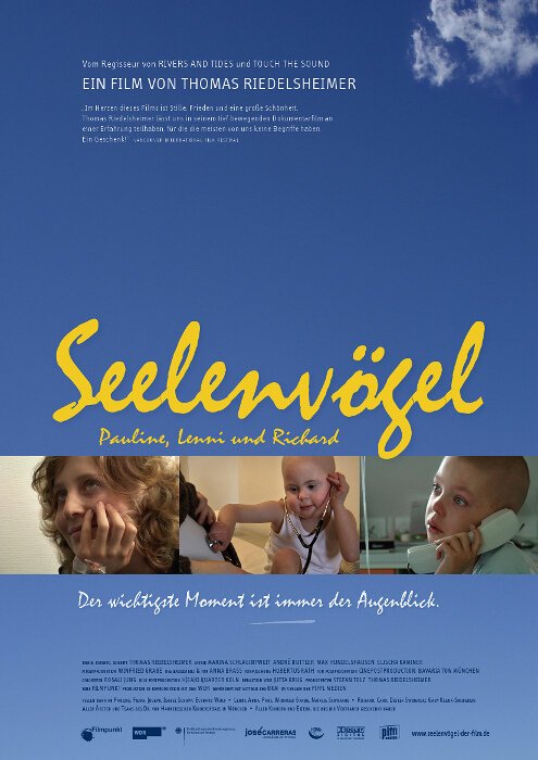 Постер фильма Seelenvögel (2009)