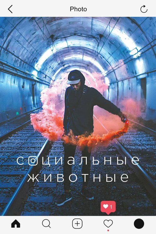 Постер фильма Социальные животные (2018)