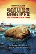 Постер фильма Square Grouper (2011)