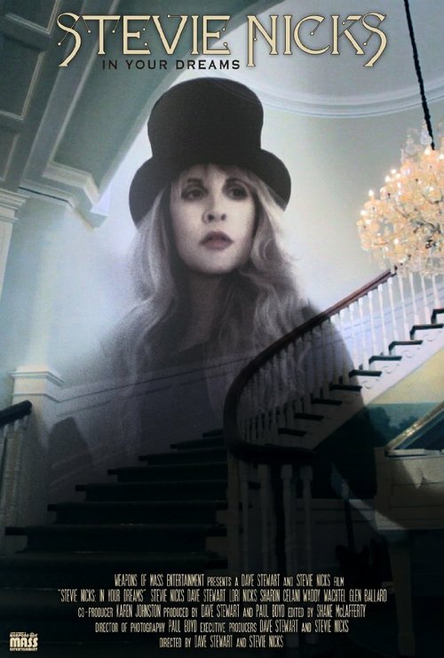 Постер фильма Stevie Nicks: In Your Dreams (2013)