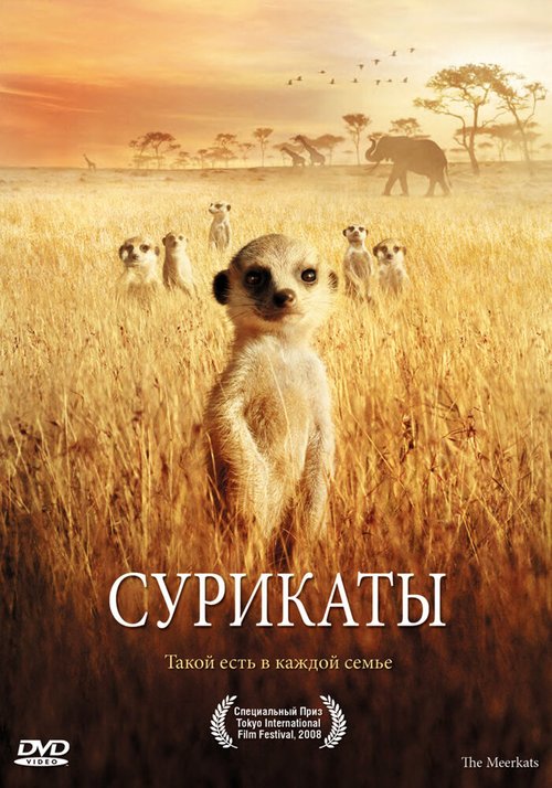 Постер фильма Сурикаты (2007)