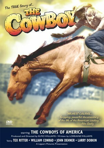 Постер фильма The Cowboy (1954)