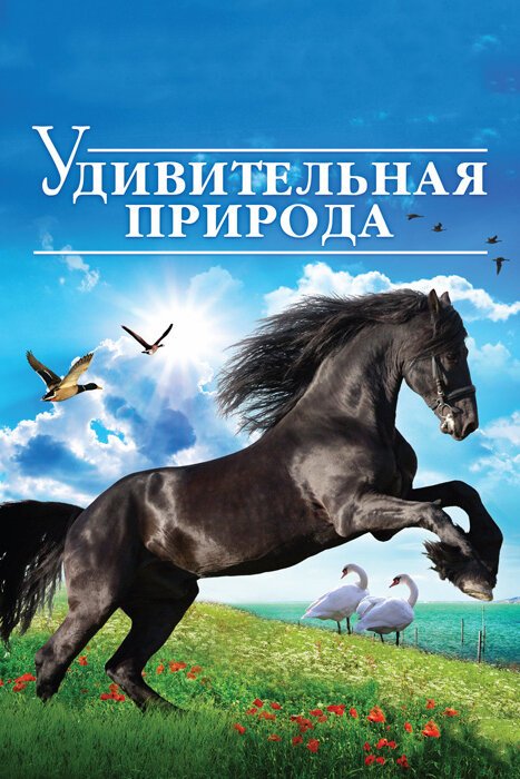 Постер фильма Удивительная природа 3D (2012)